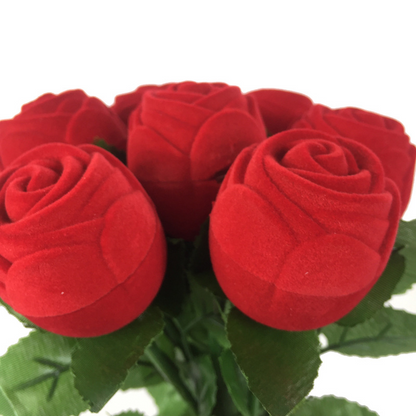 Estuche | Rosa 3D